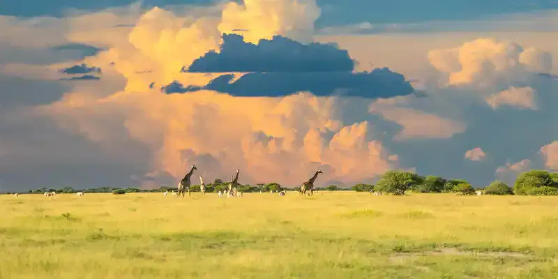 Botswana