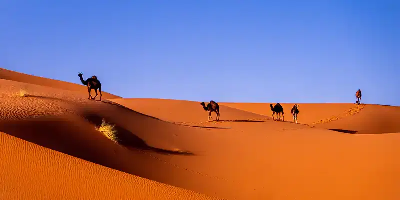 Western Sahara