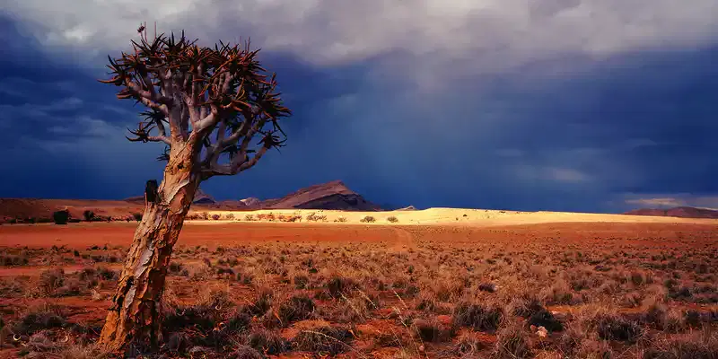 Eritrea