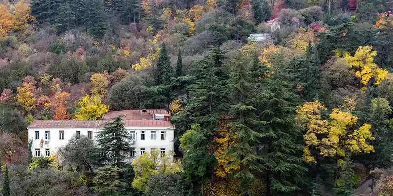 Georgia