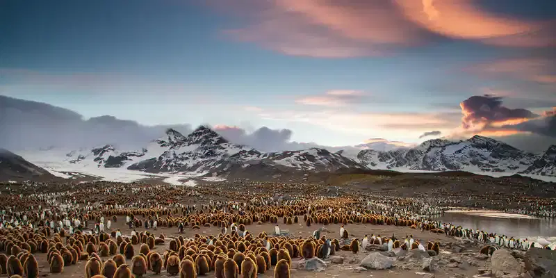 South Georgia and the South Sandwich Islands