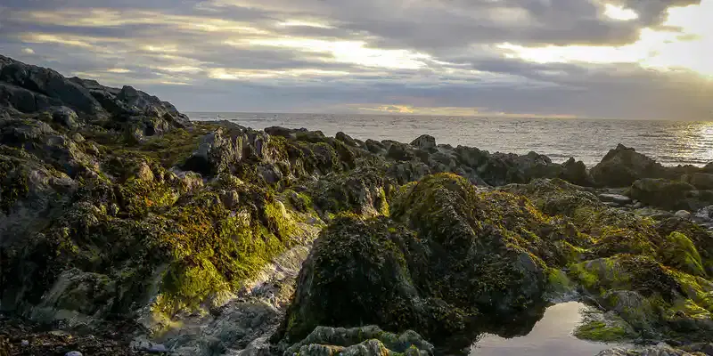 Isle Of Man