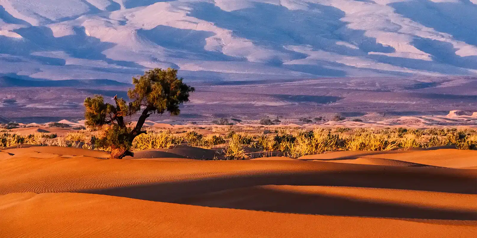 Mali