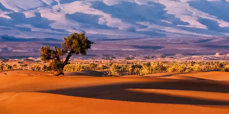 Mali