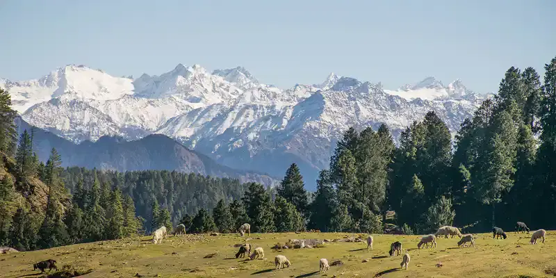 Mongolia