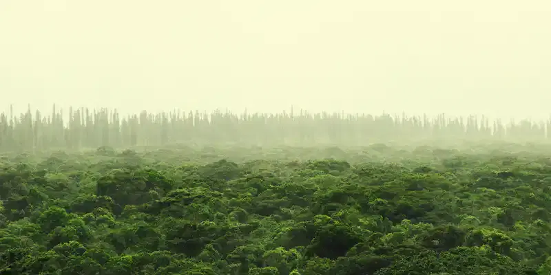 New Caledonia
