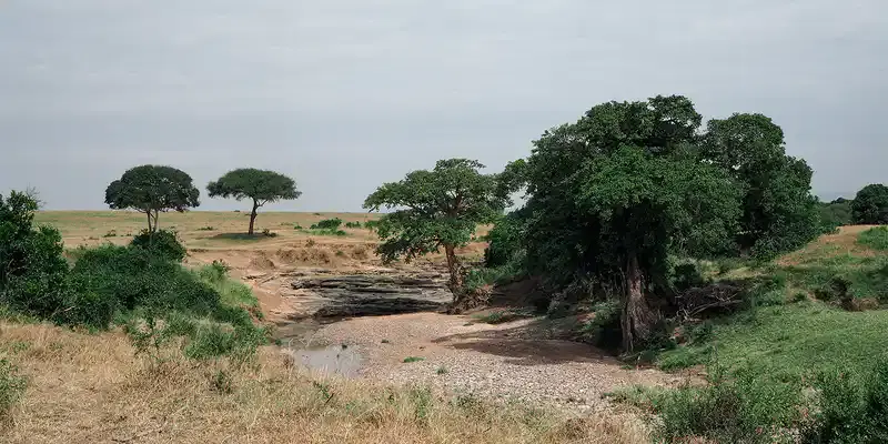 Somalia