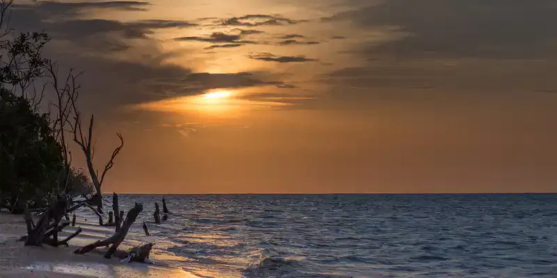 Suriname
